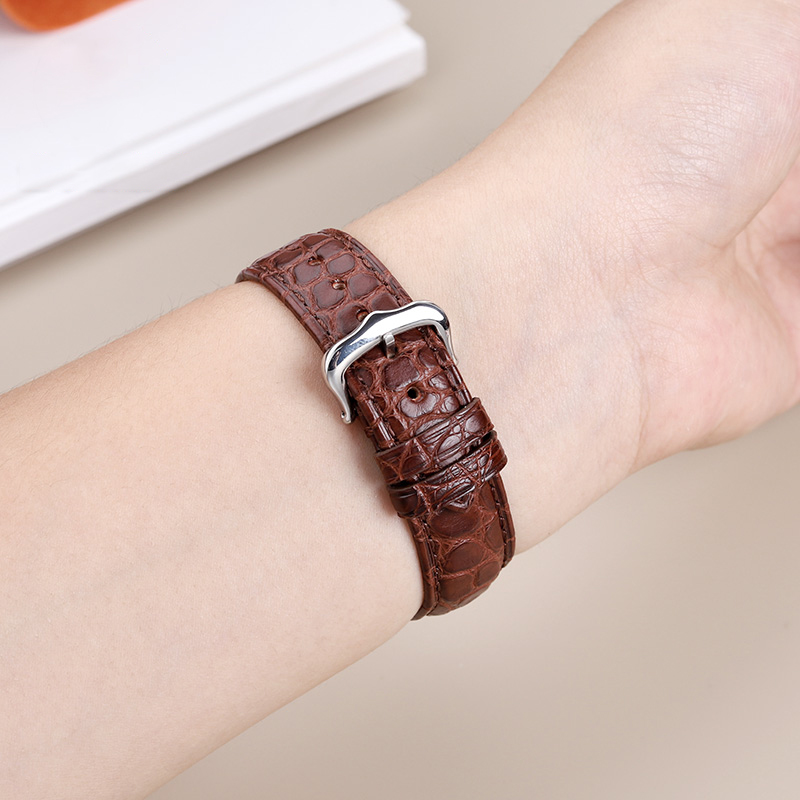 16mm 17 18 19 21 22mm tali bua - Cartier Watch Santos ulasan dan harga