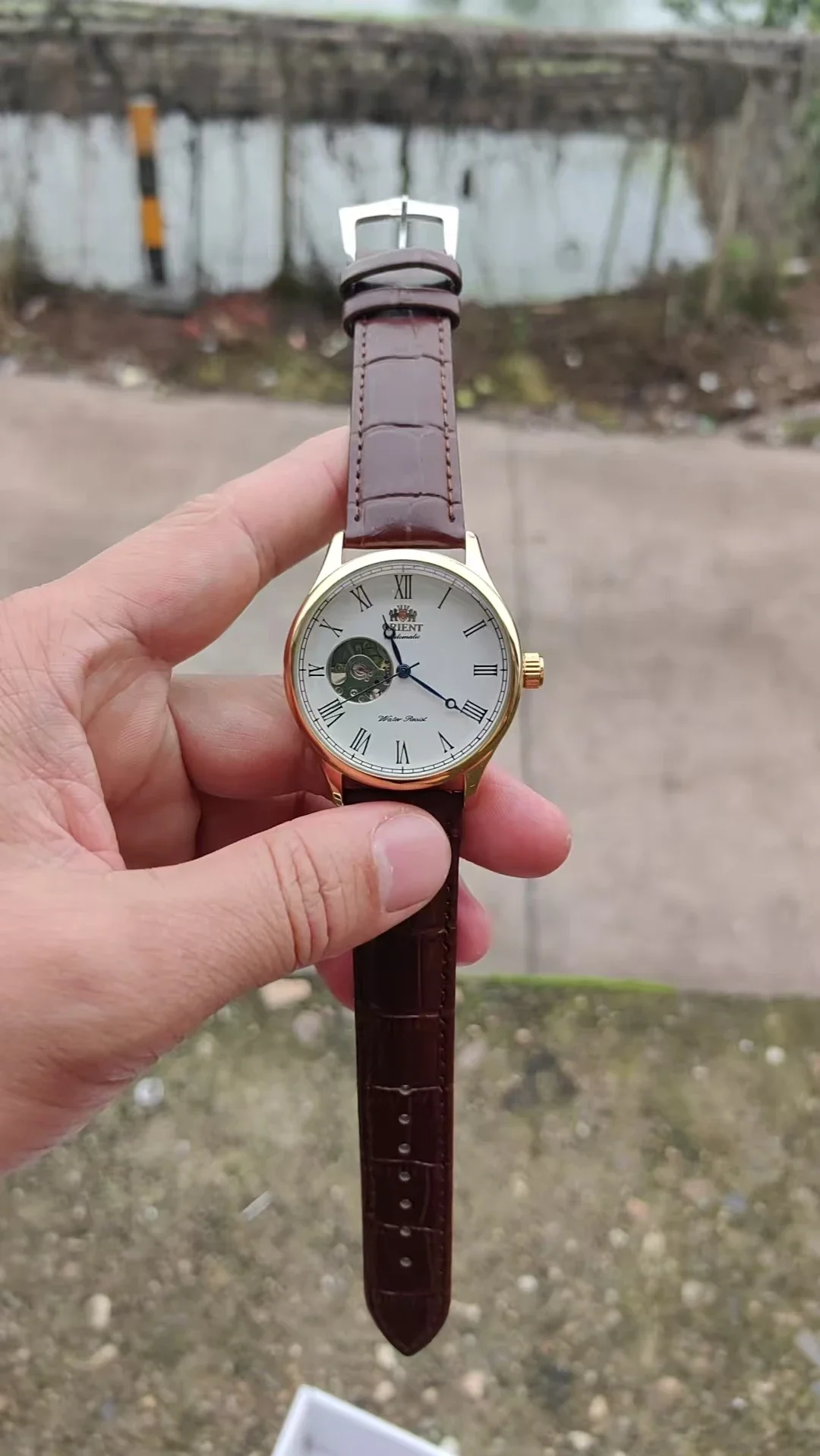 Jam Tangan Mekanik DFDG dengan - Seiko Watch Presage ulasan dan harga